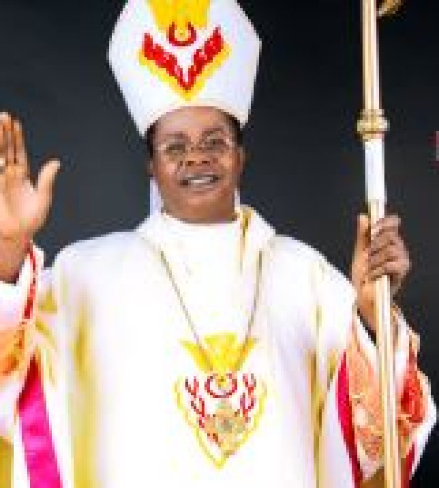 Cardinal-Paulinus-Ezeokafor